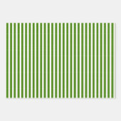 Groen | wit | Kerstmis Inpakpapier Vel (Voorkant)