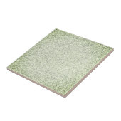Groen Witte Gesproeide Graniet Steen Keramische Te Tegeltje (Zijkant)