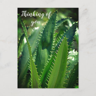 Groen Zee Leaf Garden Plant Denking You Feestdagenkaart