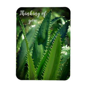 Groen Zee Leaf Garden Plant Denking You Magneet