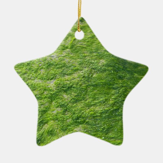 Groen Zee Mos Natuur Grass Beach Nautisch Keramisch Ornament (Voorkant)