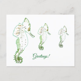 Groen Zee PaardGroetjes Briefkaart