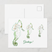 Groen Zee PaardGroetjes Briefkaart (Voorkant / Achterkant)