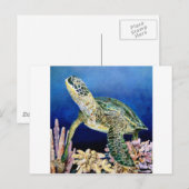 Groen Zee schildpad Briefkaart (Voorkant / Achterkant)