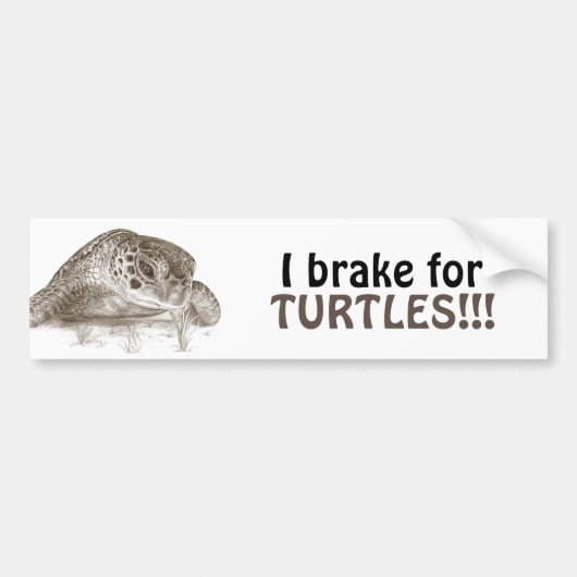 Groen Zee schildpad Bumpersticker (Voorkant)