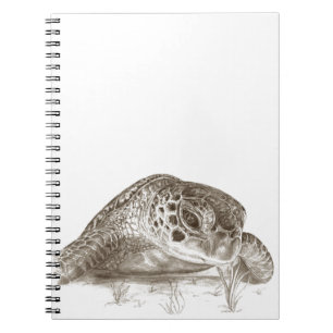 Groen Zee schildpad Notitieboek