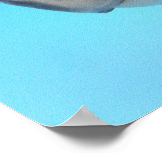 Groen Zee, schildpad Poster (Hoek)