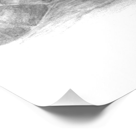 Groen Zee schildpad Poster (Hoek)