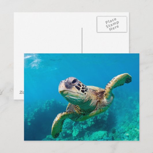 Groen Zee schildpad zwemt over koraalrif |Hawaii Briefkaart (Voorkant / Achterkant)