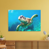 Groen Zee schildpad zwemt over koraalrif |Hawaii Canvas Afdruk (Insitu (Woonkamer))