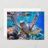 Groen Zee schildpad zwemt over koraalrif |Hawaii Feestdagenkaart (Voorkant / Achterkant)