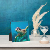 Groen Zee schildpad zwemt over koraalrif |Hawaii Fotoplaat (Insitu)