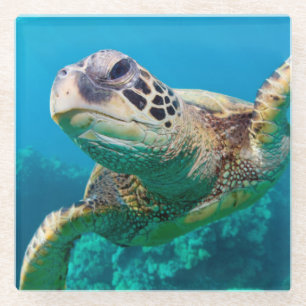Groen Zee schildpad zwemt over koraalrif  Hawaii Glazen Onderzetter