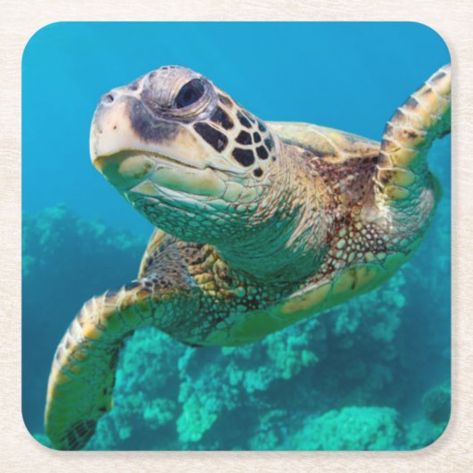 Groen Zee schildpad zwemt over koraalrif |Hawaii Kartonnen Onderzetters (Voorkant)