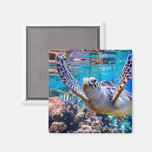 Groen Zee schildpad zwemt over koraalrif |Hawaii Magneet (Voorkant / Achterkant)