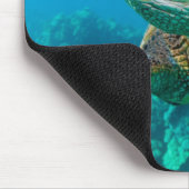 Groen Zee schildpad zwemt over koraalrif |Hawaii Muismat (Hoek)