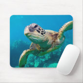 Groen Zee schildpad zwemt over koraalrif |Hawaii Muismat (Met muis)