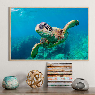 Groen Zee schildpad zwemt over koraalrif  Hawaii Poster