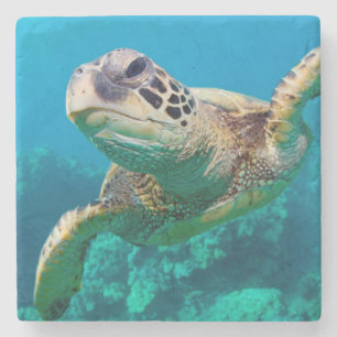 Groen Zee schildpad zwemt over koraalrif  Hawaii Stenen Onderzetter