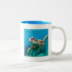 Groen Zee schildpad zwemt over koraalrif Hawaii Tweekleurige Koffiemok