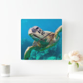 Groen Zee schildpad zwemt over koraalrif |Hawaii Vierkante Klok (Huis)