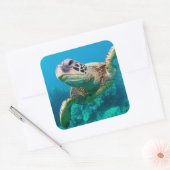 Groen Zee schildpad zwemt over koraalrif |Hawaii Vierkante Sticker (Envelop)
