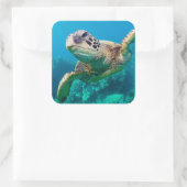 Groen Zee schildpad zwemt over koraalrif |Hawaii Vierkante Sticker (Tas)