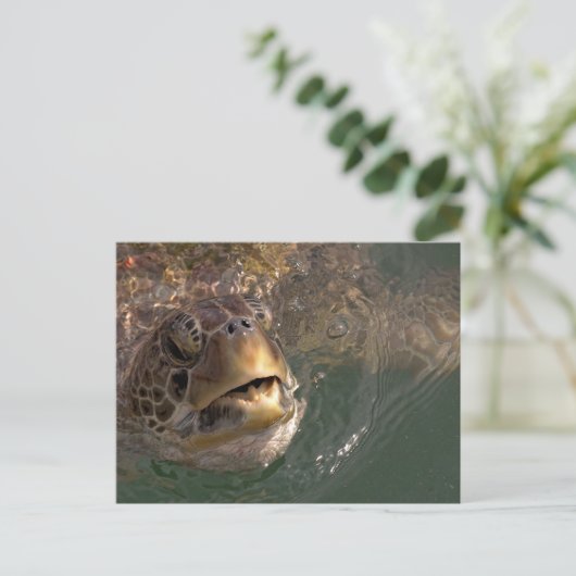 Groen Zee Turtle Briefkaart (Staand voorkant)