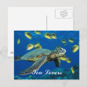 Groen Zee Turtle Briefkaart (Voorkant / Achterkant)