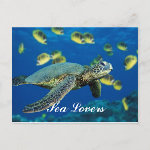 Groen Zee Turtle Briefkaart