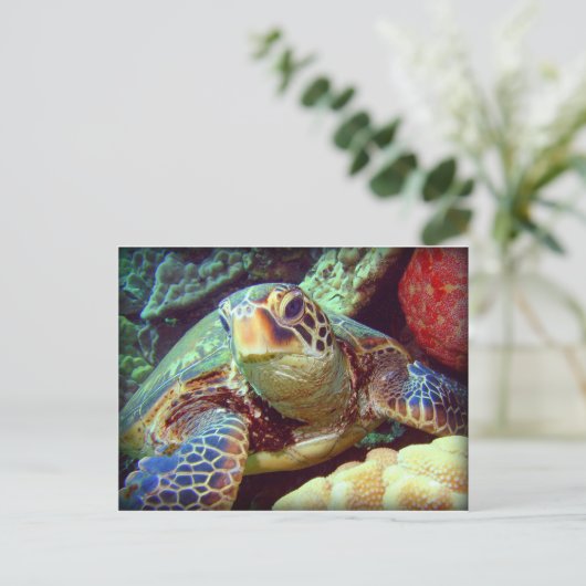 GROEN ZEE TURTLE HAWAII BRIEFKAART (Staand voorkant)