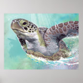 Groen Zee Turtle Poster (Voorkant)