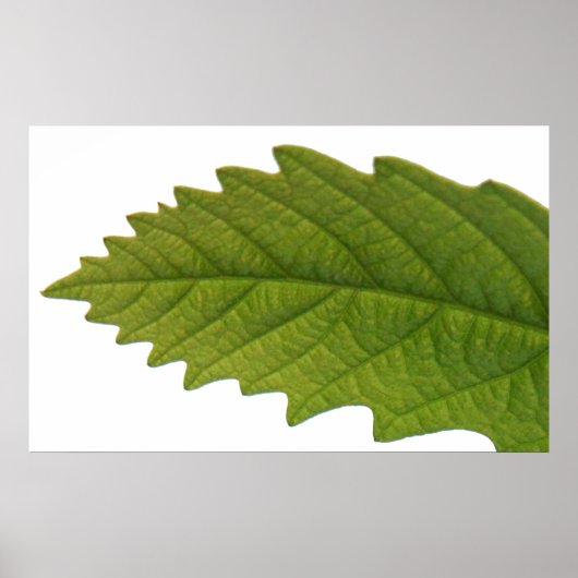 Groen zijn poster (Voorkant)