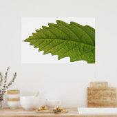 Groen zijn poster (Keuken)