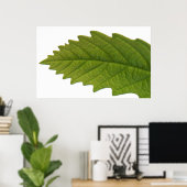 Groen zijn poster (Thuiskantoor)