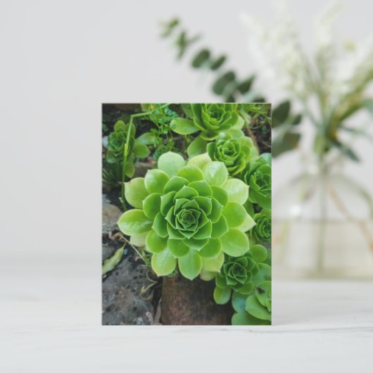 Groen zuinig briefkaart (Staand voorkant)