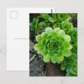 Groen zuinig briefkaart (Voorkant / Achterkant)