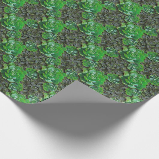 Groen, zuinig, omslagpapier voor het nieuwste patr cadeaupapier (Hoek)