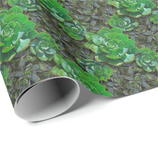 Groen, zuinig, omslagpapier voor het nieuwste patr cadeaupapier (Rol Hoek)