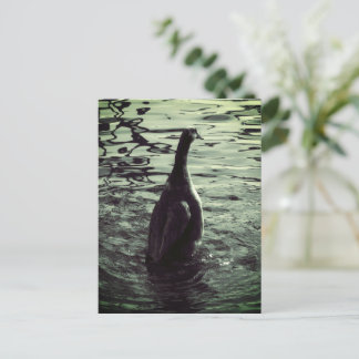 Groen Zwart Foto Eend Briefkaart