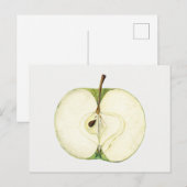 groenappelfruit briefkaart (Voorkant / Achterkant)
