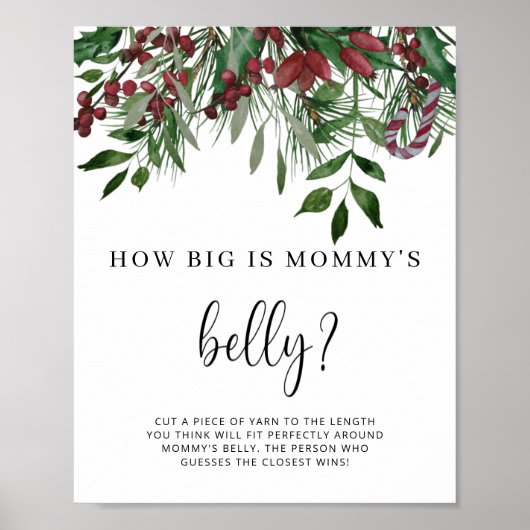 Groenblijvende hoe groot is mama's buik spel poster (Voorkant)