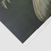 groenblijvende muze tissuepapier (Detail)