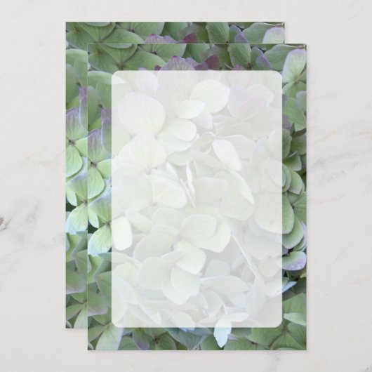 Groenboek over het programma Green Hydrangea Weddi Programmakaart (Voorkant / Achterkant)