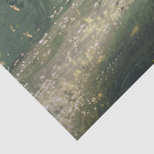 groenboek over ontkoppelde weefsels tissuepapier (Detail)