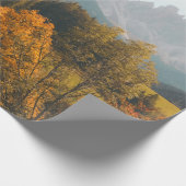 GROENBOMEN EN GRASSELD CADEAUPAPIER (Hoek)