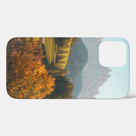 GROENBOMEN EN GRASSELD Case-Mate iPhone CASE (Achterkant (horizontaal))