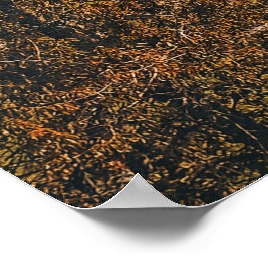 GROENBOMEN EN GRASSELD POSTER (Hoek)