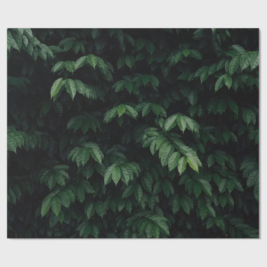 GROENBOOM CADEAUPAPIER (Vlak)