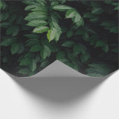 GROENBOOM CADEAUPAPIER (Hoek)